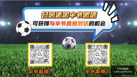 2026世足旅遊攻略2026世足旅游攻略新动作落地引发关